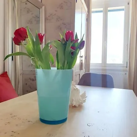 Apartment Maya Centre Studio Rijeka